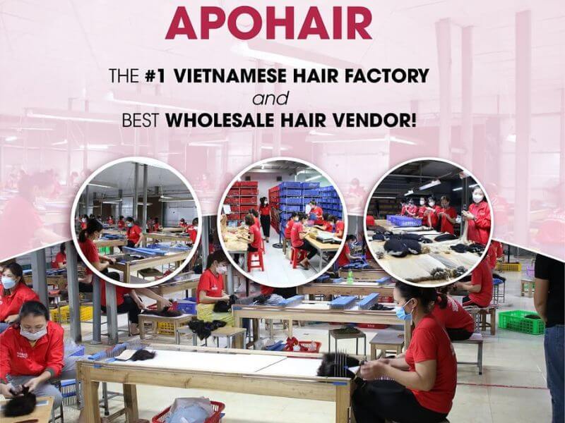Apohair - wholesale hair sellers in Los Angeles